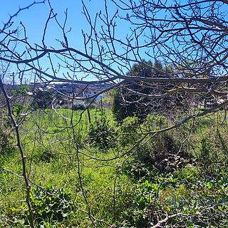 Prodej stavební parcely, 1784m²