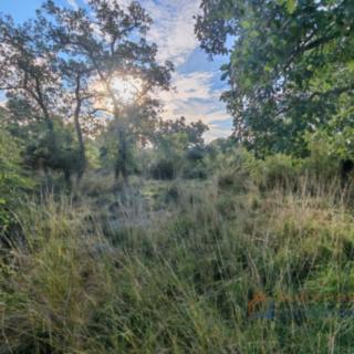 Prodej stavební parcely, 794m²