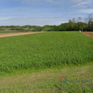 Prodej stavební parcely, 1705m²