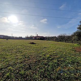 Prodej stavební parcely, 800m²