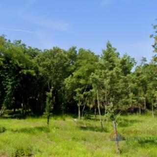 Prodej stavební parcely, 1152m²