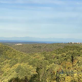 Prodej stavební parcely, 1279m²