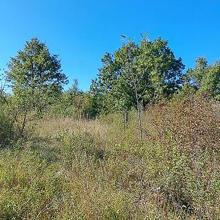 Prodej stavební parcely, 27086m²