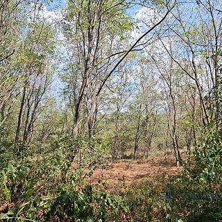 Prodej stavební parcely, 7470m&sup2;