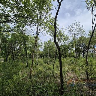 Prodej stavební parcely, 1190m²