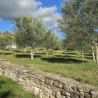 Prodej stavební parcely, 1369m²