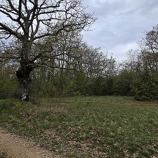 Prodej stavební parcely, 174551m²