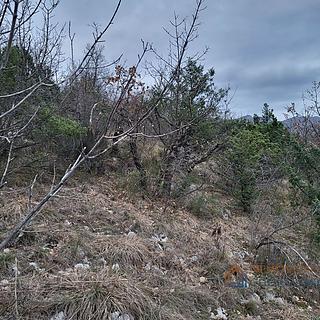 Prodej stavební parcely, 37505m²