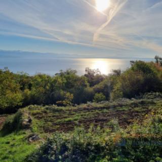 Prodej stavební parcely, 17500m²