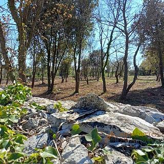 Prodej stavební parcely, 3153m²