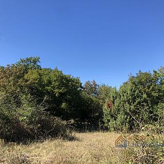 Prodej stavební parcely, 6467m²