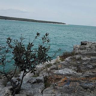 Prodej stavební parcely, 7000m²