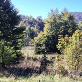 Prodej stavební parcely, 7470m²