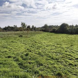 Prodej stavební parcely, 660m²