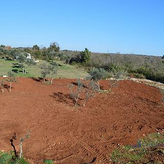 Prodej stavební parcely, 505m²