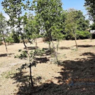 Prodej stavební parcely, 1829m²