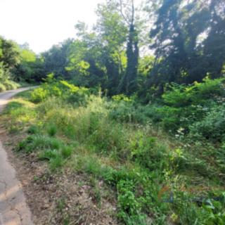 Prodej stavební parcely, 877m²