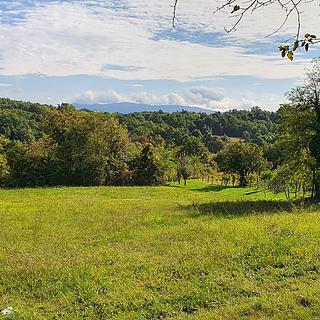 Prodej stavební parcely, 7110m²