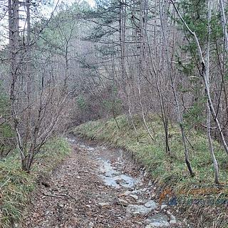 Prodej stavební parcely, 5610m²