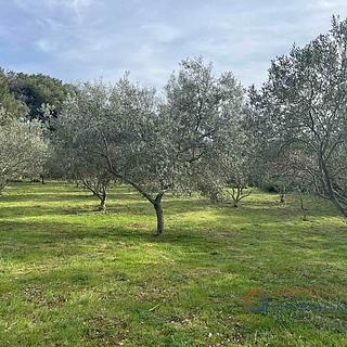 Prodej stavební parcely, 4260m²