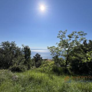 Prodej stavební parcely, 3135m²