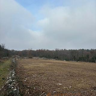 Prodej stavební parcely, 1295m²