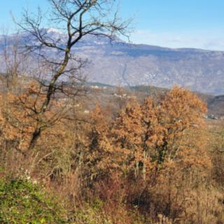 Prodej stavební parcely, 2182m²