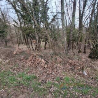 Prodej stavební parcely, 764m²