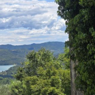 Prodej stavební parcely, 2473m²