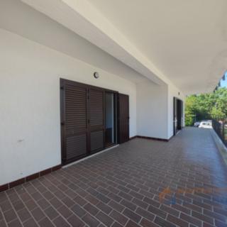 Prodej bytu 1+kk, garsoniery, 78m²