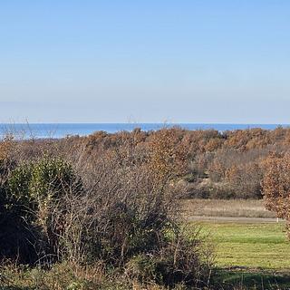 Prodej stavební parcely, 1145m²