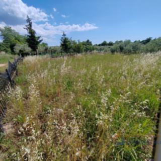 Prodej stavební parcely, 600m²