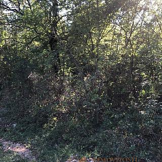 Prodej stavební parcely, 2483m&sup2;