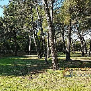 Prodej stavební parcely, 3270m²