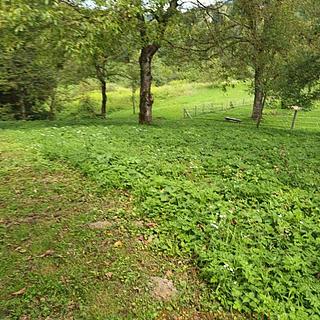 Prodej stavební parcely, 906m²