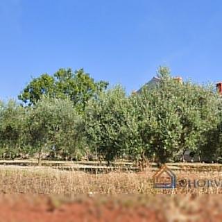 Prodej stavební parcely, 1119m²