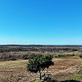 Prodej stavební parcely, 1036m²