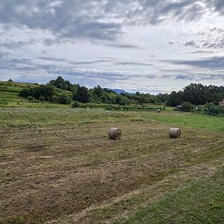 Prodej stavební parcely, 2941m²