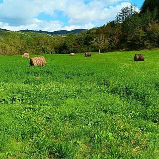 Prodej stavební parcely, 8778m²