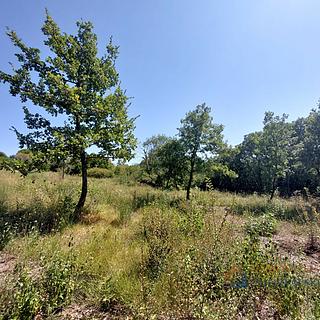 Prodej stavební parcely, 900m²