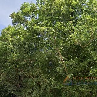 Prodej stavební parcely, 41610m&sup2;