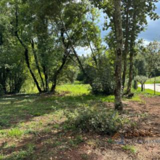 Prodej stavební parcely, 1105m²