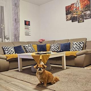 Prodej bytu 2+kk, 60m²