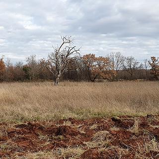 Prodej stavební parcely, 1098m²