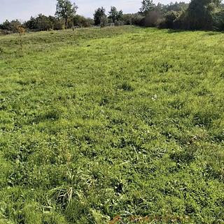 Prodej stavební parcely, 563m²