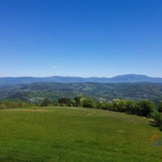 Prodej stavební parcely, 3874m²