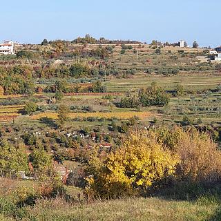 Prodej stavební parcely, 2649m²