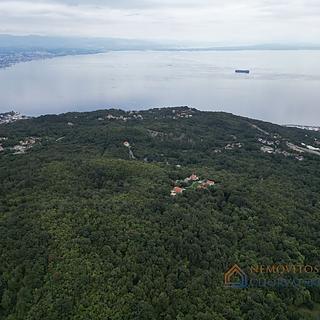 Prodej stavební parcely, 6700m²