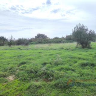 Prodej stavební parcely, 980m²