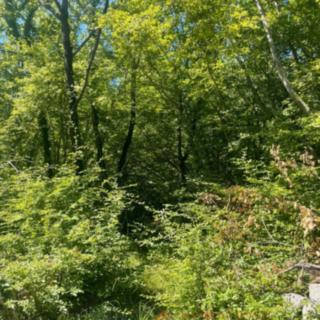 Prodej stavební parcely, 2841m²